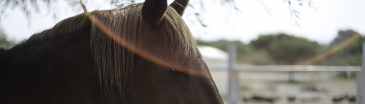 Un lugar único para ti 